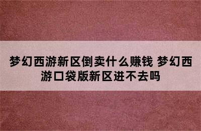 梦幻西游新区倒卖什么赚钱 梦幻西游口袋版新区进不去吗